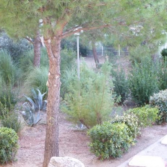 AB IMMO : Appartement | LE GRAU-DU-ROI (30240) | 37 m2 | 212 000 &euro; 