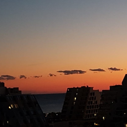  AB IMMO : Appartement | LA GRANDE-MOTTE (34280) | 25 m2 | 235 &euro; 