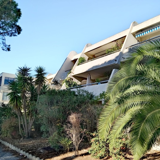  AB IMMO : Appartement | LA GRANDE-MOTTE (34280) | 34 m2 | 149 000 € 