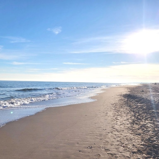  AB IMMO : Maison / Villa | PORTIRAGNES (34420) | 45 m2 | 189 000 € 