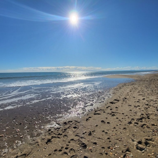  AB IMMO : Maison / Villa | PORTIRAGNES-PLAGE (34420) | 40 m2 | 158 000 &euro; 