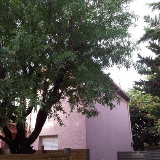 AB IMMO : Maison / Villa | LATTES (34970) | 95 m2 | 269 000 &euro; 