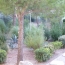  AB IMMO : Appartement | LE GRAU-DU-ROI (30240) | 37 m2 | 212 000 &euro; 