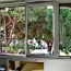  AB IMMO : Appartement | LA GRANDE-MOTTE (34280) | 68 m2 | 315 000 &euro; 