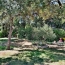  AB IMMO : Maison / Villa | BOISSIERES (30114) | 100 m2 | 419 000 &euro; 