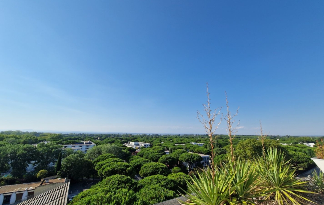 AB IMMO : Appartement | LA GRANDE-MOTTE (34280) | 25 m2 | 235 &euro; 