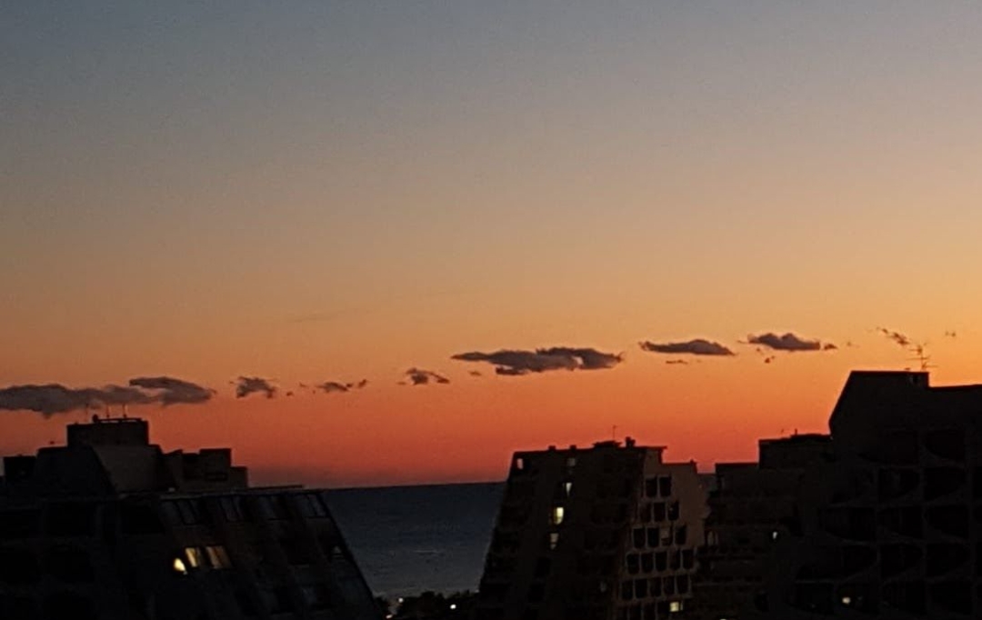 AB IMMO : Appartement | LA GRANDE-MOTTE (34280) | 25 m2 | 235 &euro; 