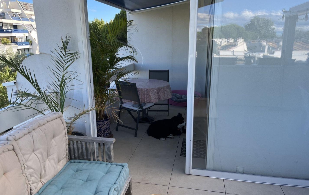 AB IMMO : Appartement | LA GRANDE-MOTTE (34280) | 46 m2 | 345 000 € 