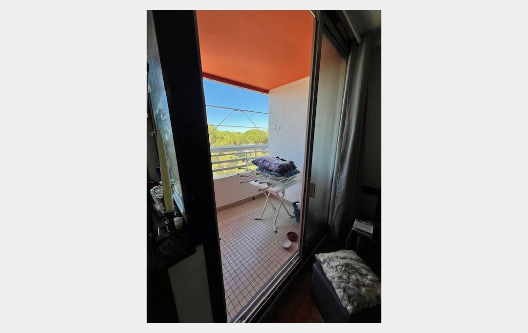 AB IMMO : Appartement | LA GRANDE-MOTTE (34280) | 21 m2 | 115 000 € 