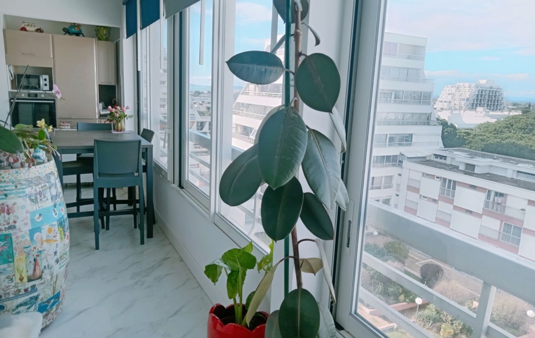 AB IMMO : Appartement | LA GRANDE-MOTTE (34280) | 60 m2 | 369 000 &euro; 