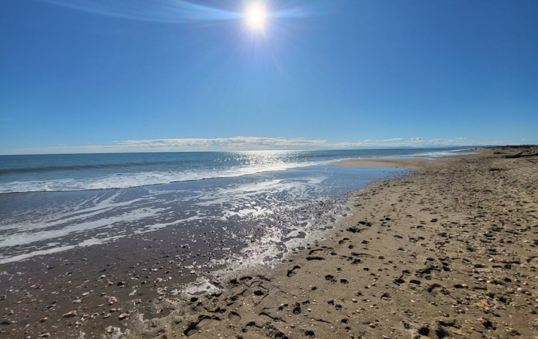 AB IMMO : Maison / Villa | PORTIRAGNES-PLAGE (34420) | 65 m2 | 241 000 &euro; 