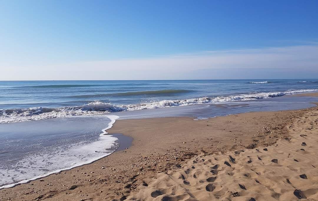 AB IMMO : Maison / Villa | PORTIRAGNES-PLAGE (34420) | 25 m2 | 127 000 &euro; 