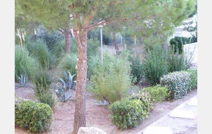 AB IMMO : Appartement | LE GRAU-DU-ROI (30240) | 37 m2 | 212 000 &euro; 