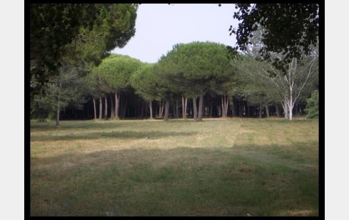 AB IMMO : Terrain | LA GRANDE-MOTTE (34280) | 0 m2 | 440 000 &euro; 