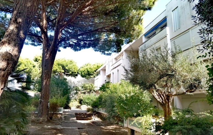  AB IMMO Appartement | LA GRANDE-MOTTE (34280) | 56 m2 | 199 000 € 