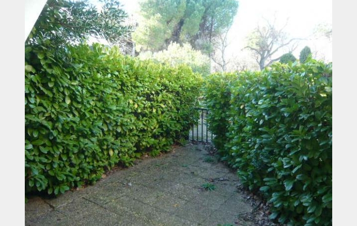 AB IMMO : Appartement | LA GRANDE-MOTTE (34280) | 18 m2 | 124 000 &euro; 