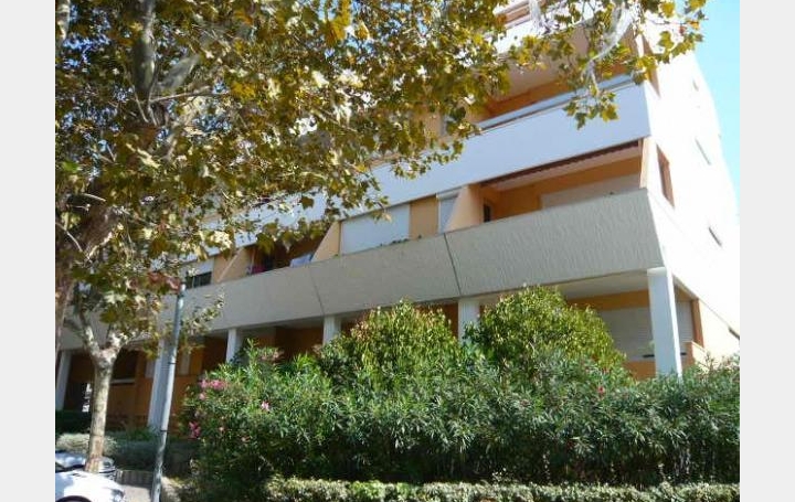AB IMMO : Appartement | LA GRANDE-MOTTE (34280) | 23 m2 | 65 000 &euro; 
