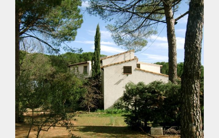 AB IMMO : Maison / Villa | VALERGUES (34130) | 170 m2 | 498 000 &euro; 